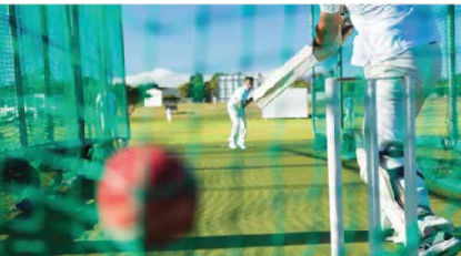 Cricket Pitch