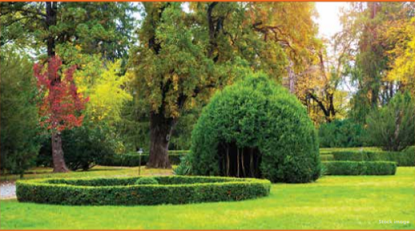 Yoga Garden